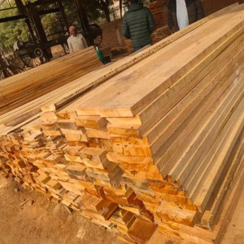 Eucalyptus-Sawan-Timber