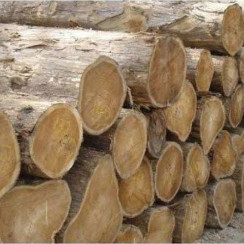 Sheesham Log